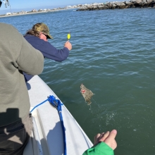 Flounder Fishing