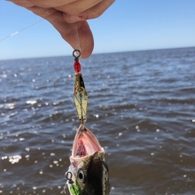 Inshore-Fishing-Georgetown